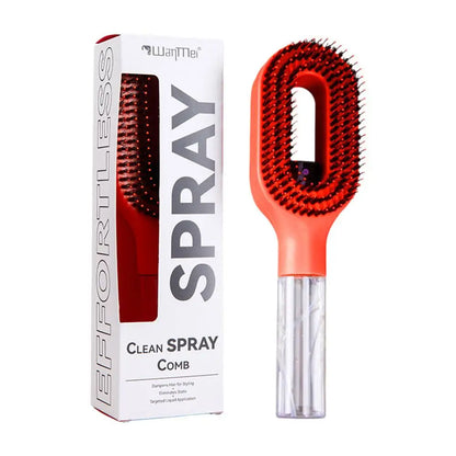 2 In 1 Spray Hair Brush Scalp Massager Comb